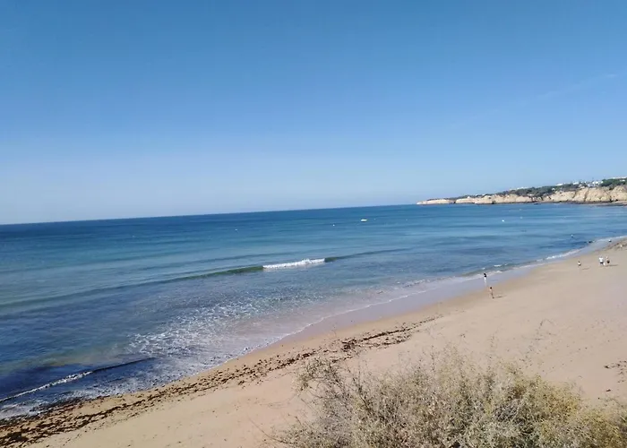 Sons Do Mar - Charming By The Sea